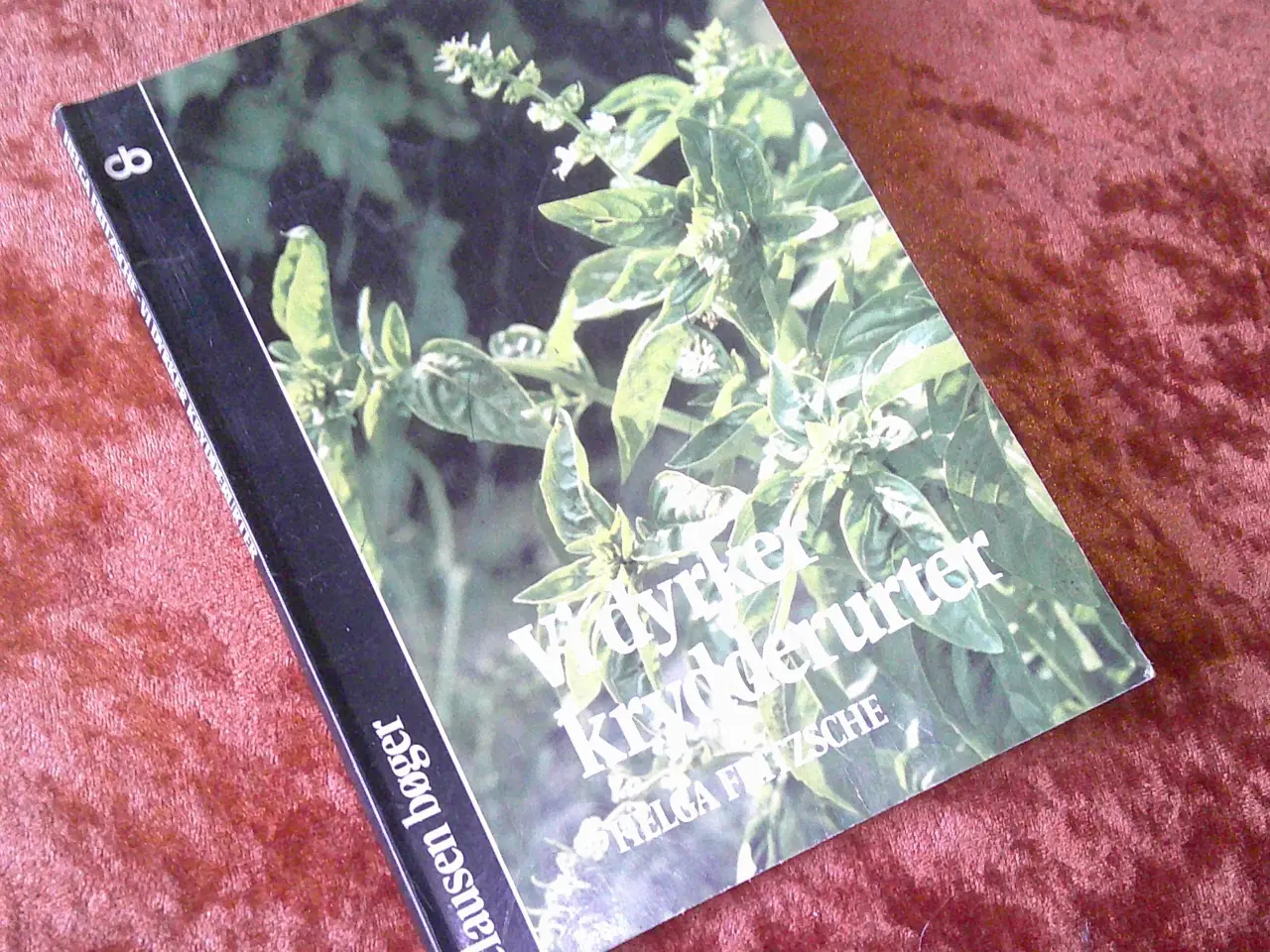 Billede 1 - Vi dyrker krydderurter, Helga Fritzsche