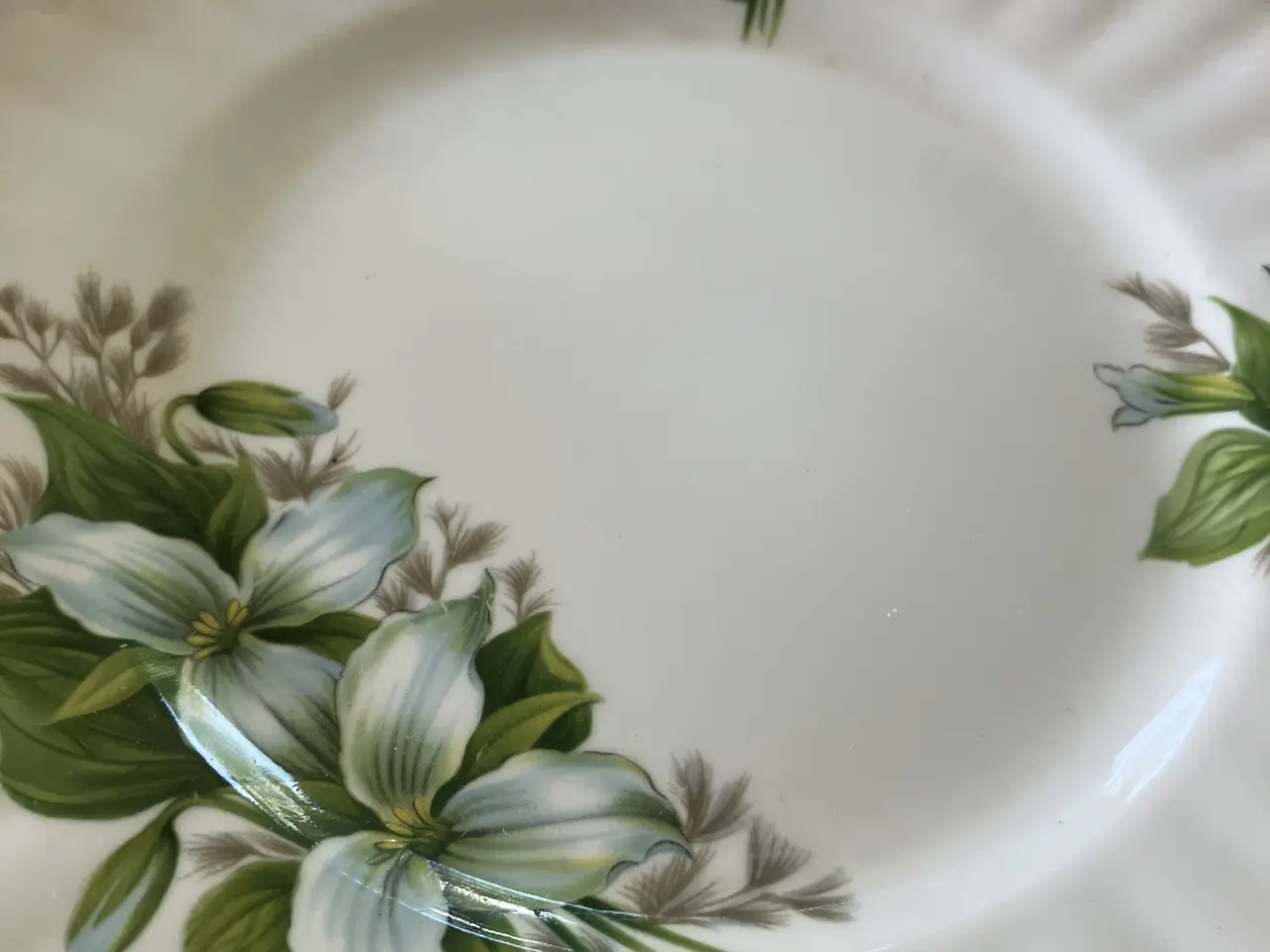 Billede 3 - Royal Albert Trillium