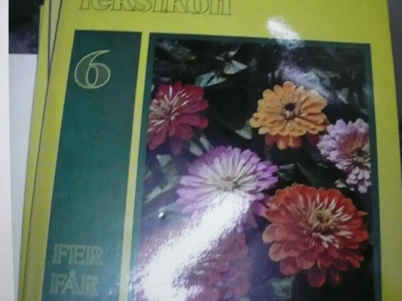 Billede 4 - lademann have og plante leksion