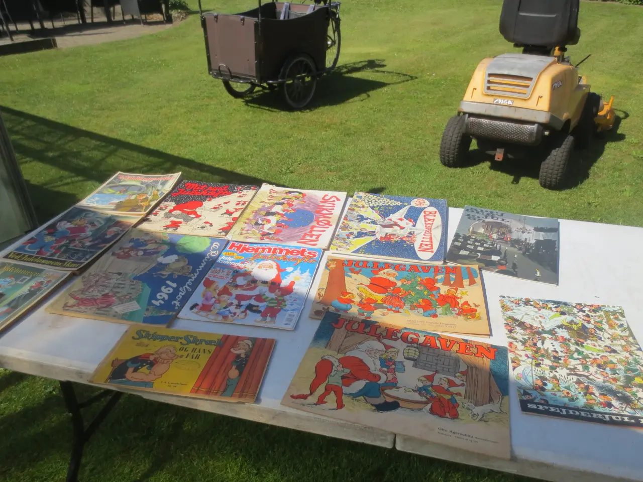 Billede 1 - 13 stk Blade Ved Julelampens skær