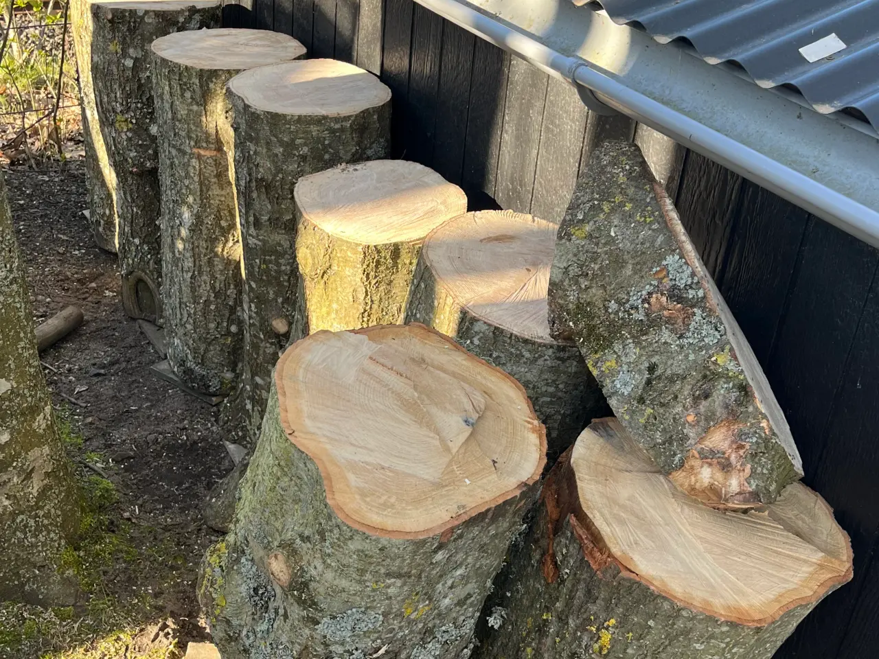 Billede 1 - Egetræsblokke/hugblokke /sømblokke - 6 stk.