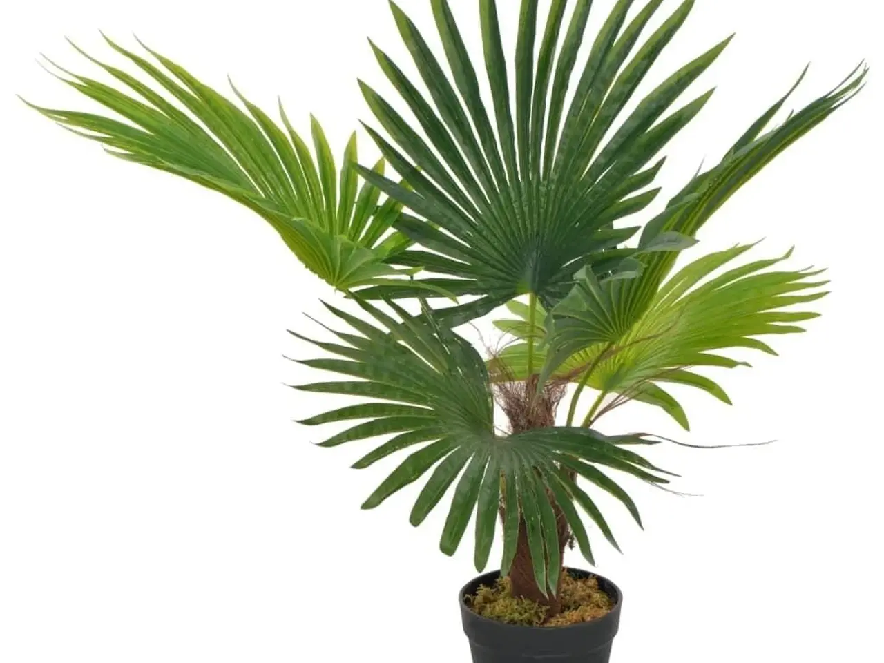 Billede 1 - Kunstig palmeplante med potte 70 cm - grøn