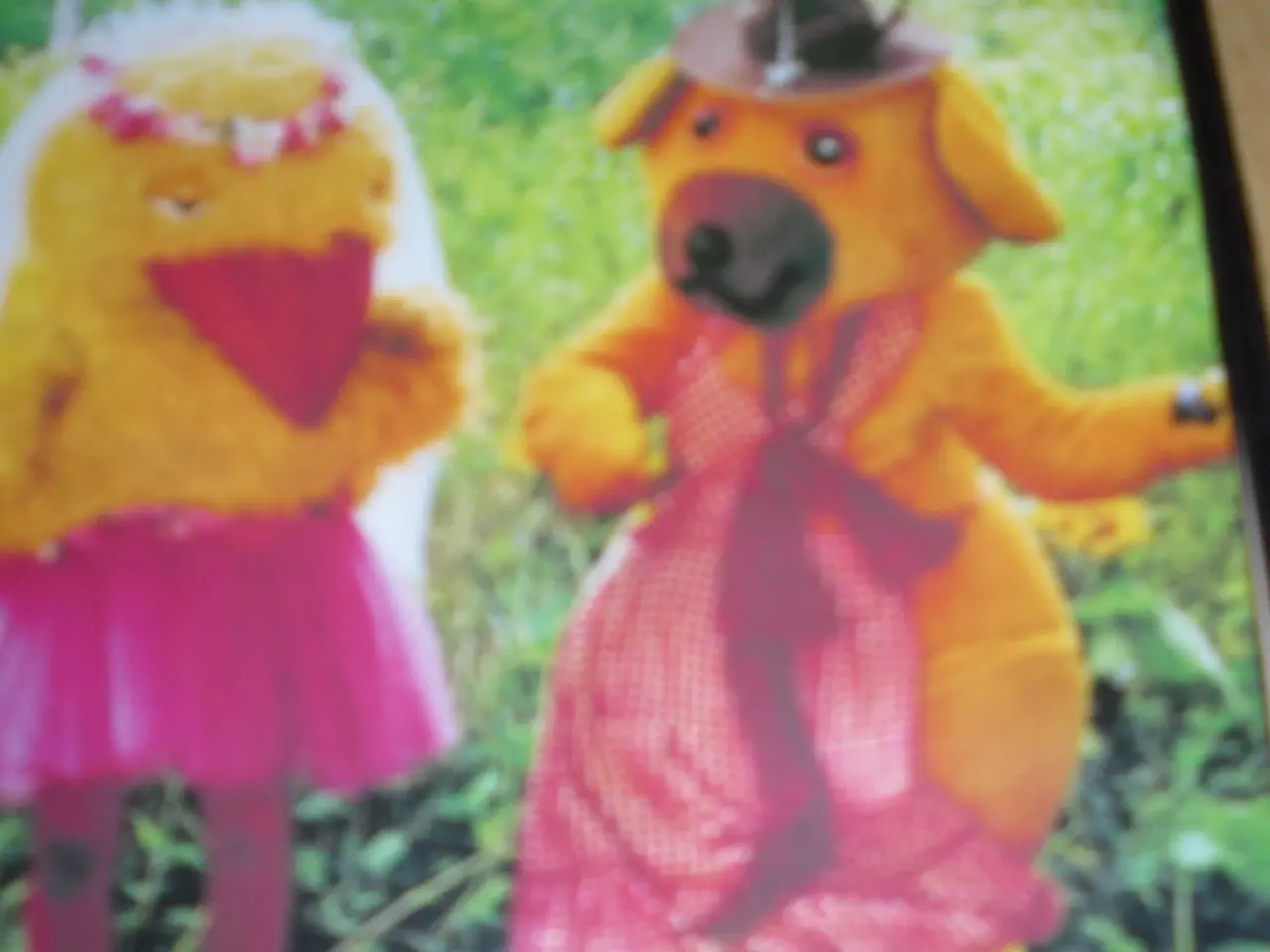Billede 2 - BYD. BAMSES Billedbog Dvd 18 & 20.