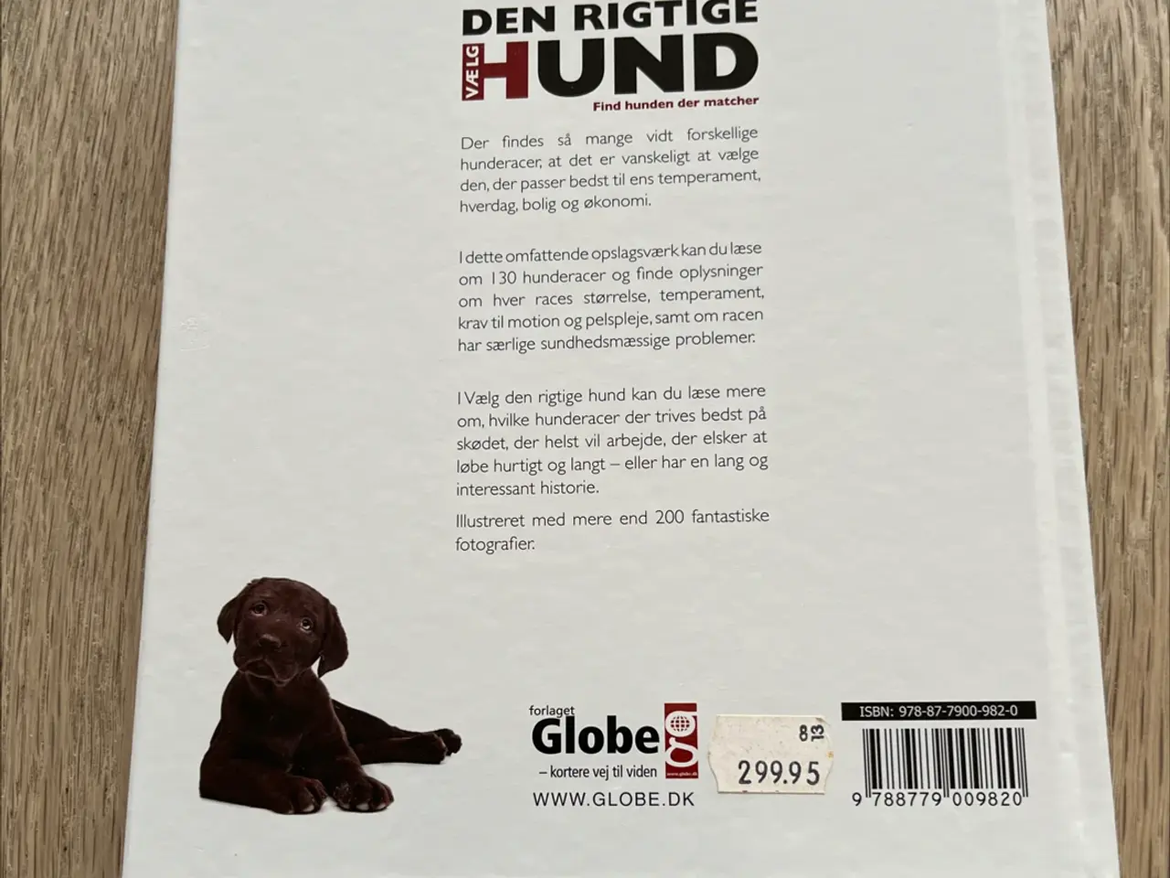 Billede 2 - Fagbog, Vælg den rigtige hund