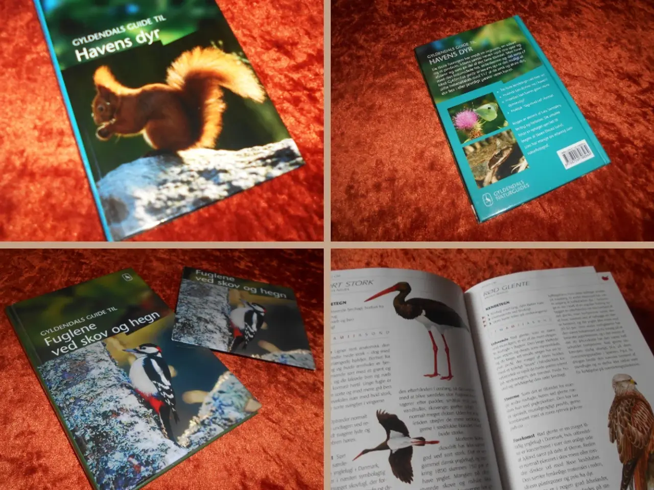 Billede 3 - Gyldendals guide , Lars Serritslev m.fl