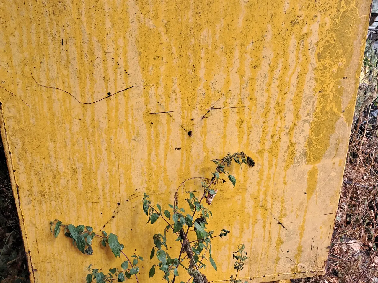 Billede 1 - En silo 1000 kg 
