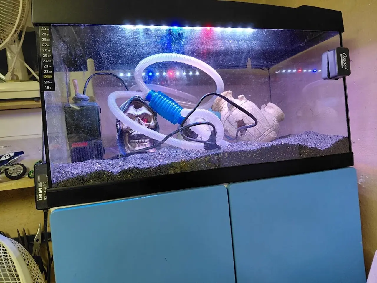 Billede 1 - 60 liter akvarie med skab og tilbehør samt LED lys