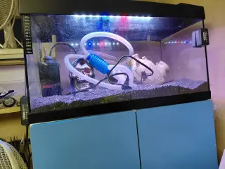 60 liter akvarie med skab og tilbehør samt LED lys