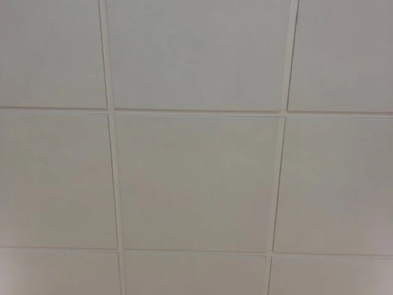 Billede 1 - Ecophon loftplader 60x60 