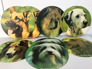 8 stk retro papskilte med hunde