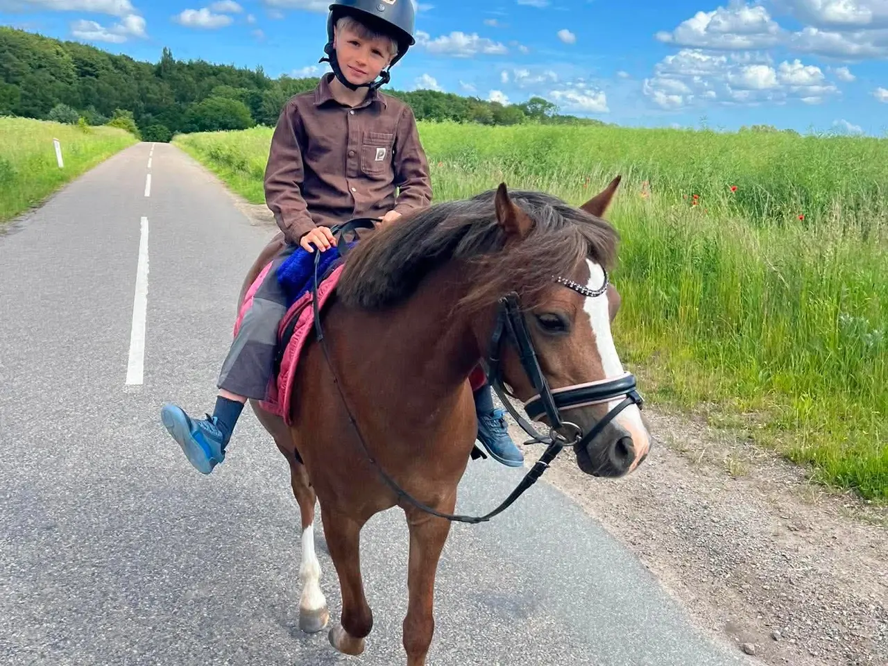 Billede 4 - Pony kat.3