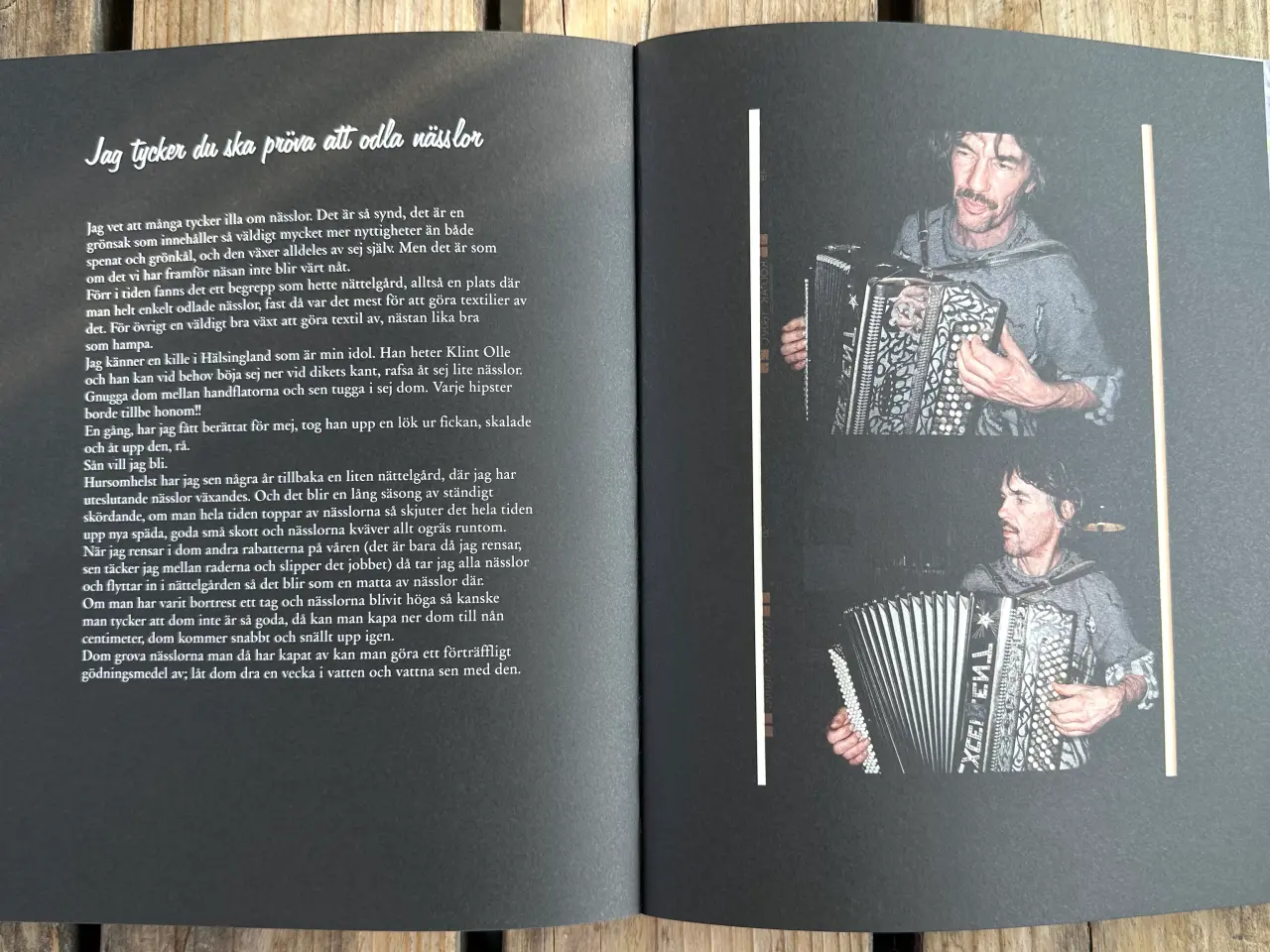 Billede 8 - Stefans Store Feta Röta – Stefan Sundström