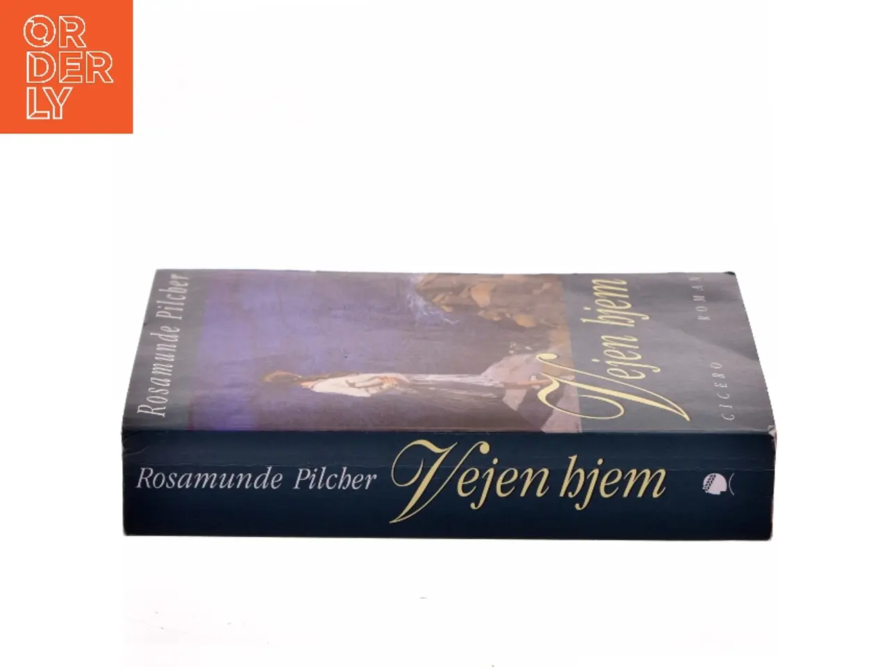Billede 2 - Vejen hjem af Rosamunde Pilcher (Bog)