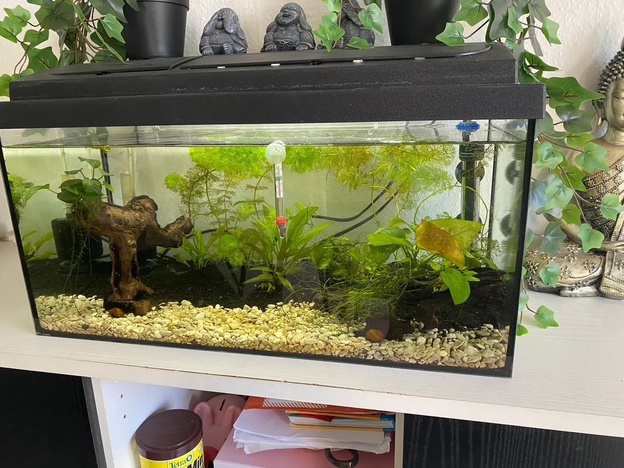 Billede 2 - 30 l og 54 l med tilbehør