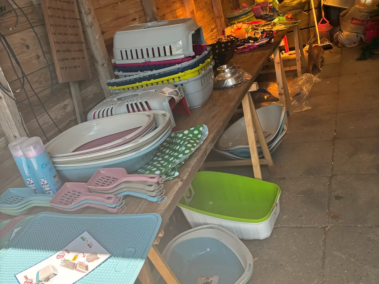 Billede 1 - Katte/killing udstyr salg 60 %