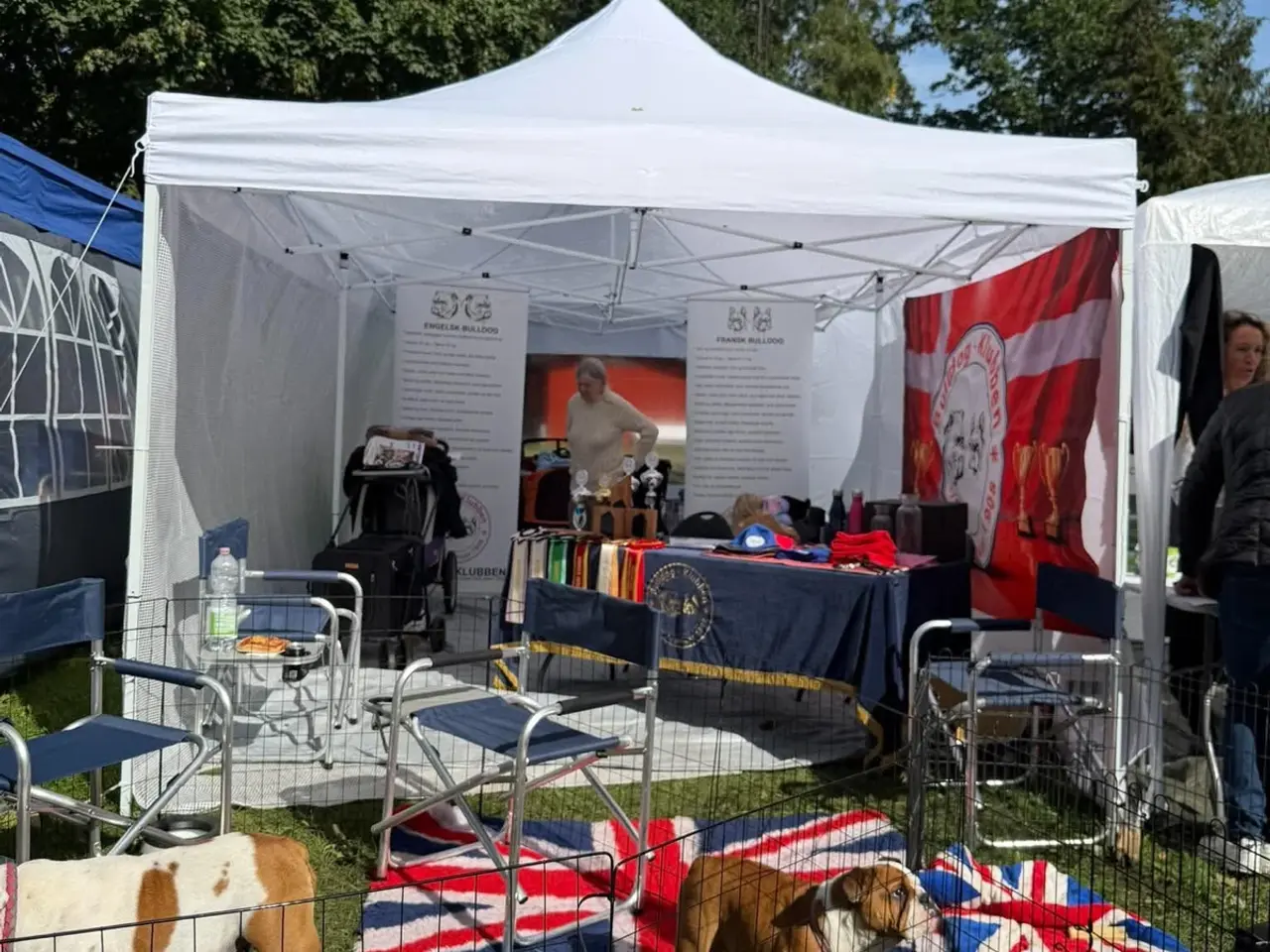 Billede 7 - 🎪 FESTTELT / PAVILLON TIL LEJE – 3 x 6 METER 🎪