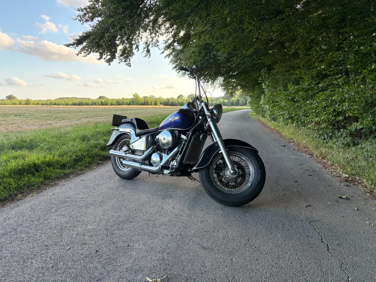 Billede 1 - Kawasaki VN800 Classic