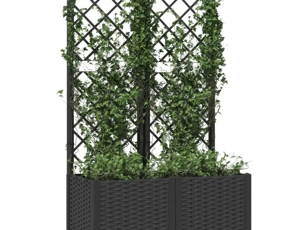 Billede 3 - Haveplantekasse med espalier sort 80x40x136 cm PP