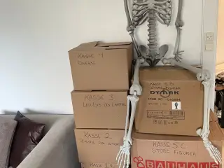 UDLEJES - DEN STORE HALLOWEENPAKKE