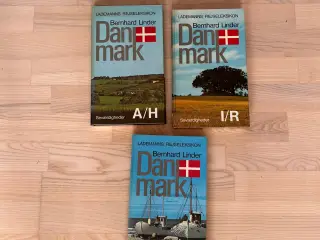 Lademanns rejseleksikon Danmark bd. 1-3