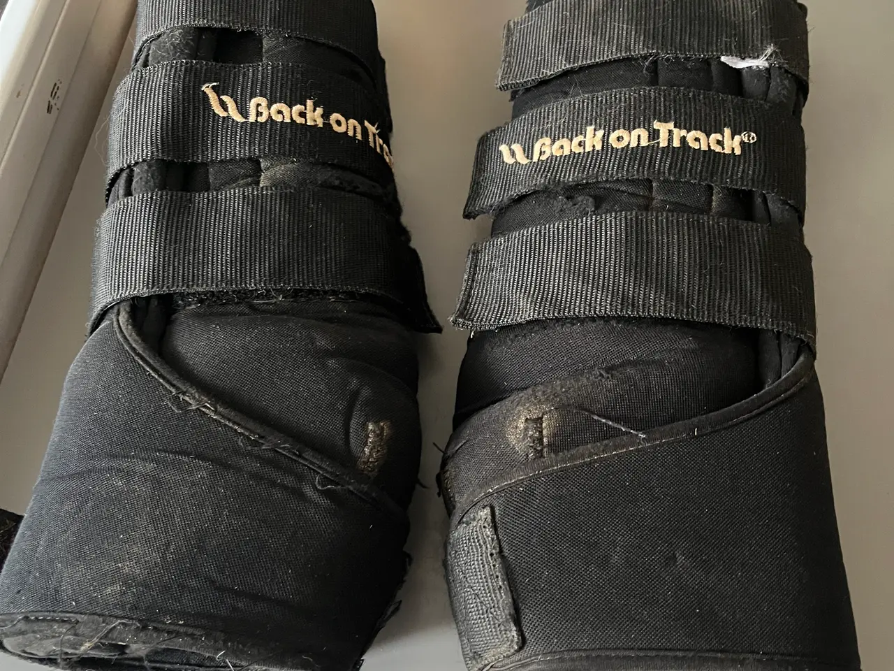 Billede 1 - Back On Track stald