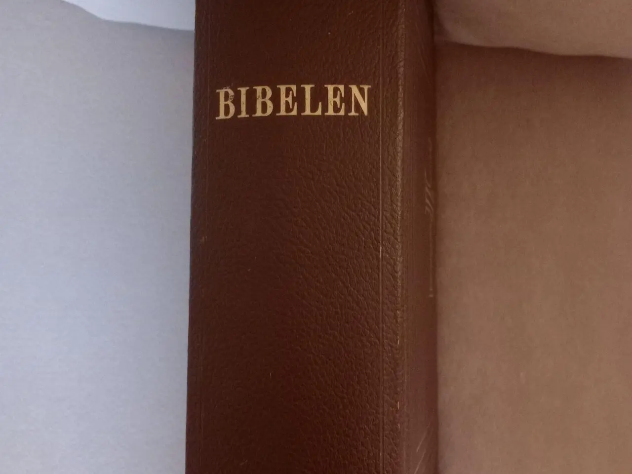 Billede 3 - stor flot billedbibel