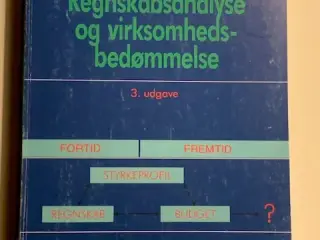 Regnskabsanalyse og virksomhedsbedømmelse - BYD
