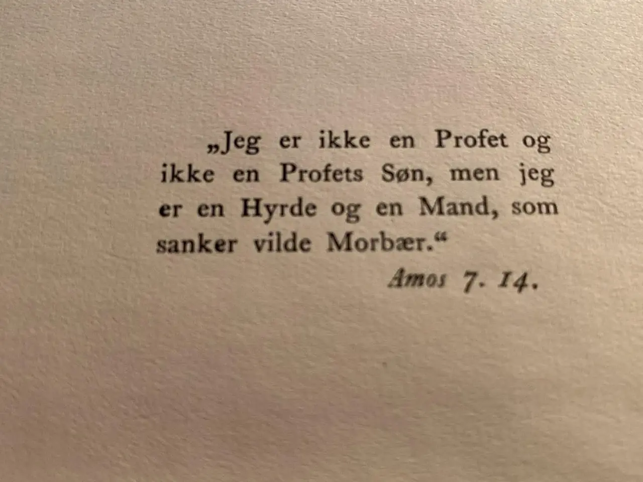 Billede 7 - Rugens Sange