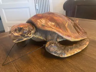 udstoppet skildpadde 