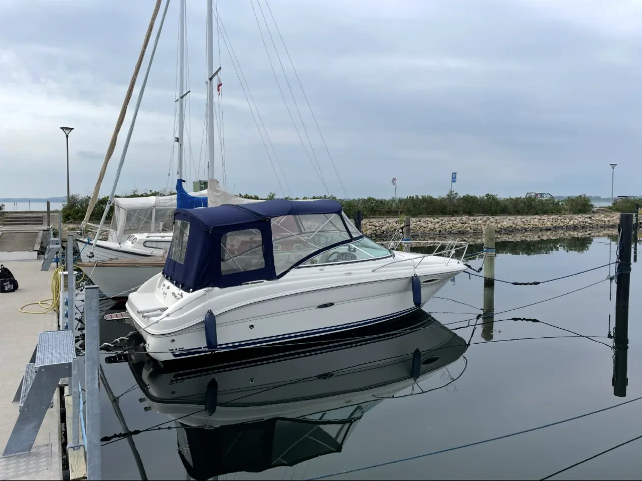 Billede 8 - Sea Ray Weekender 215