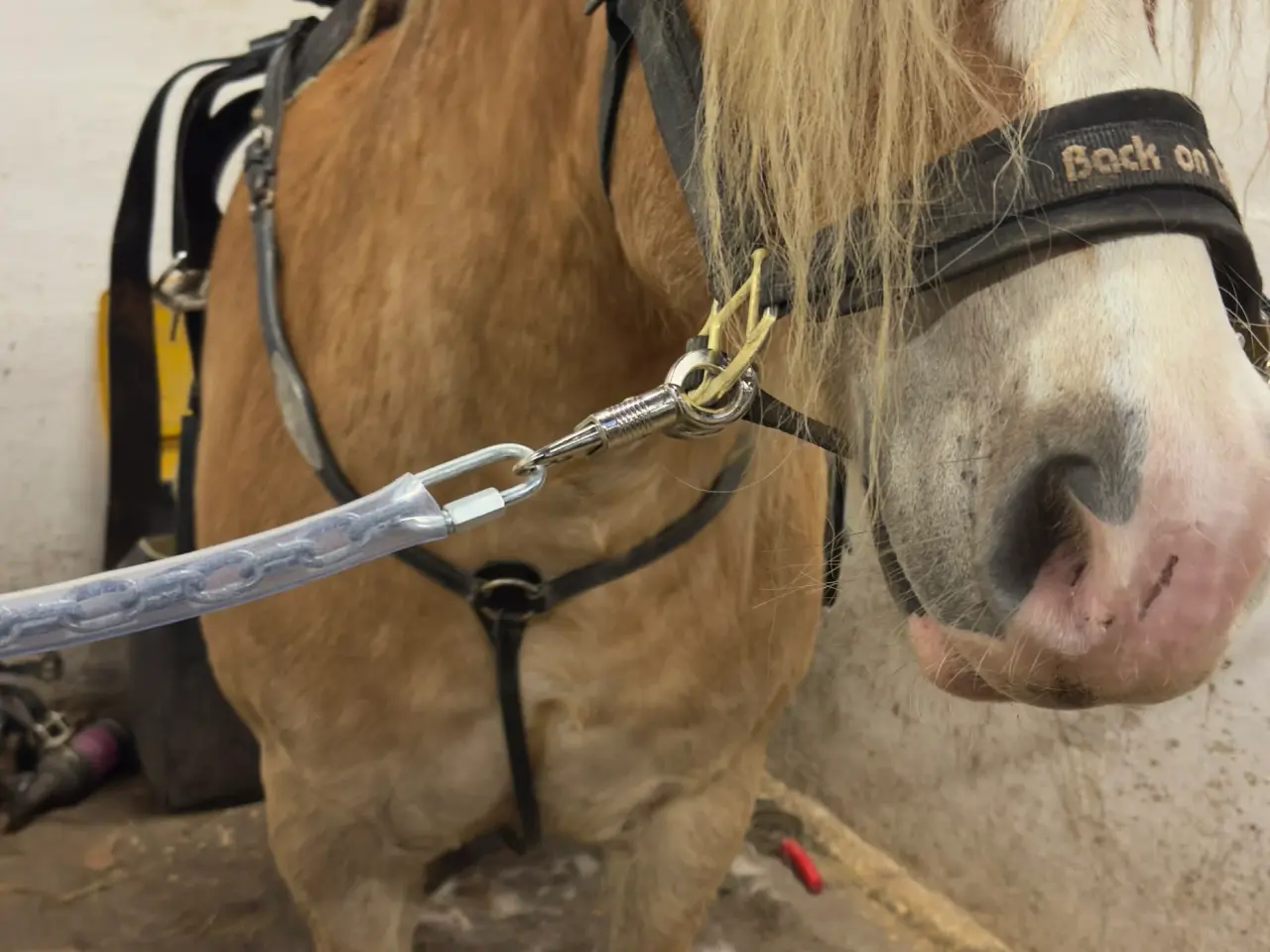 Billede 1 - Western tur sadel