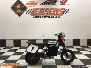 Indian eFTR Mini