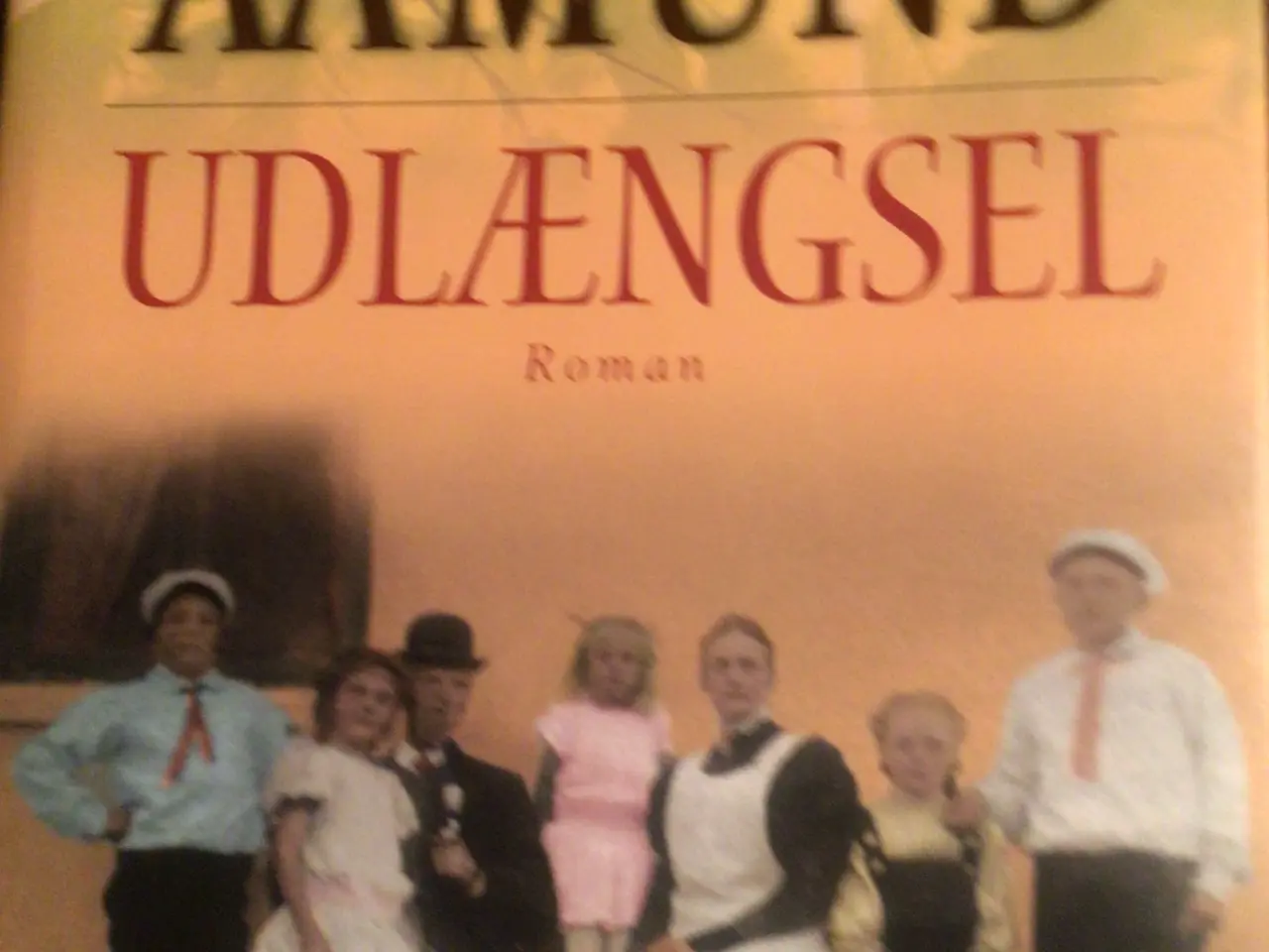 Billede 1 - Jane Aamund : Udlængsel 