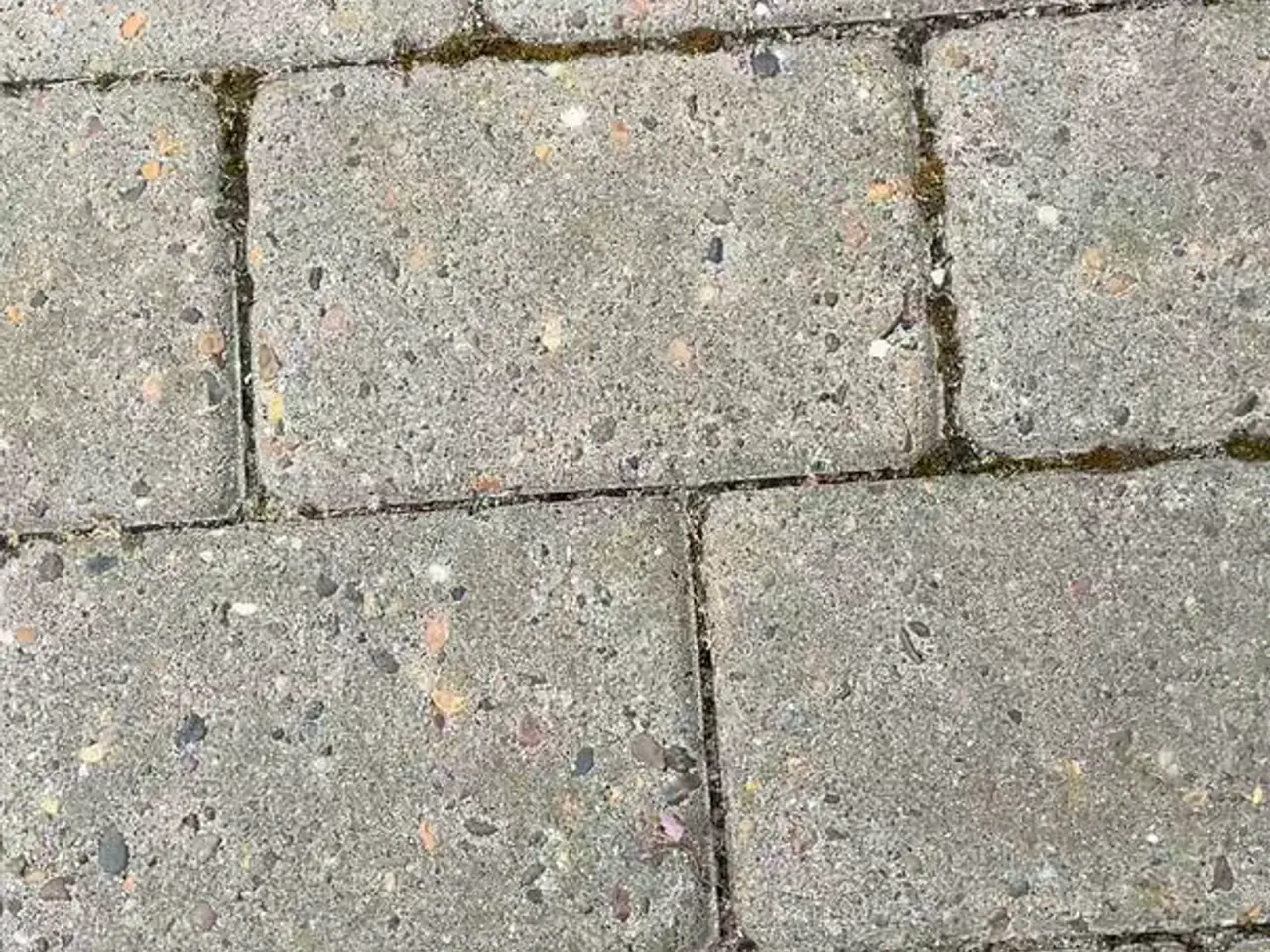 Billede 1 - Hjertingsten