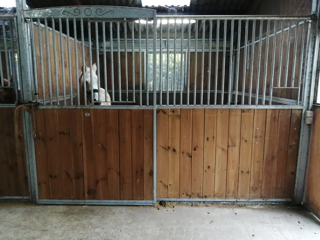 Billede 3 - Front heste boks