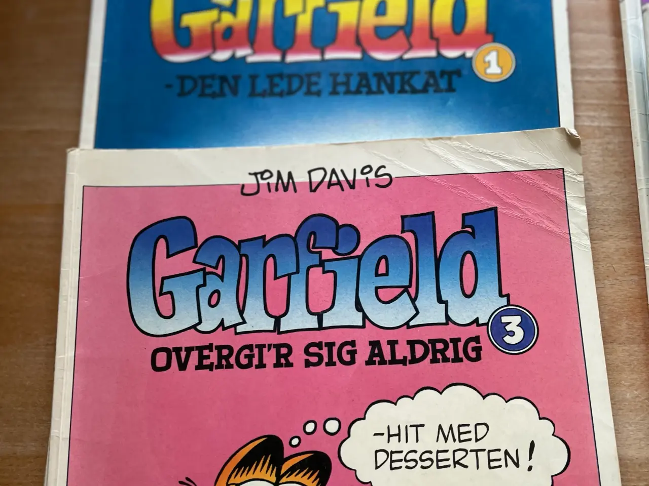 Billede 3 - Garfield