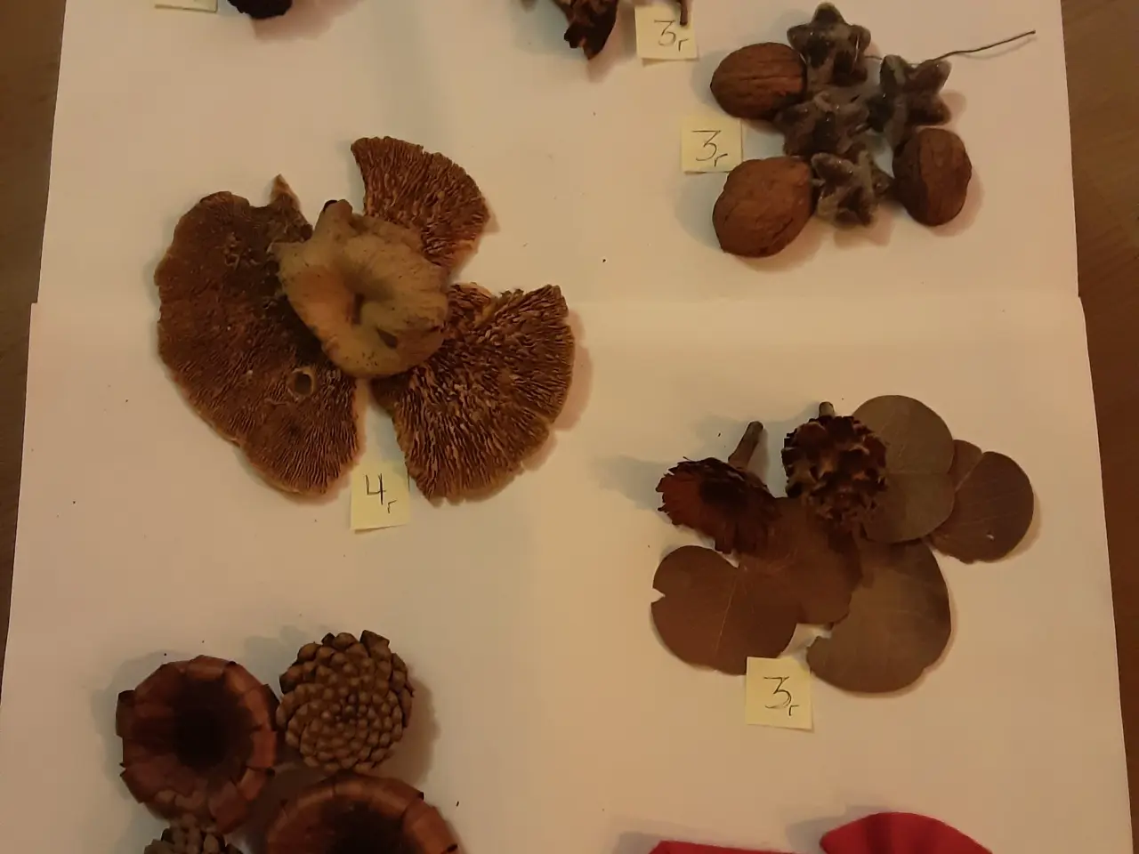 Billede 1 - Mere natur juledekoration pynt.