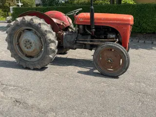 Ferguson 31 
