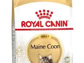 Kattemad tør - Royal Canin Maine Coon Adult, 10 kg