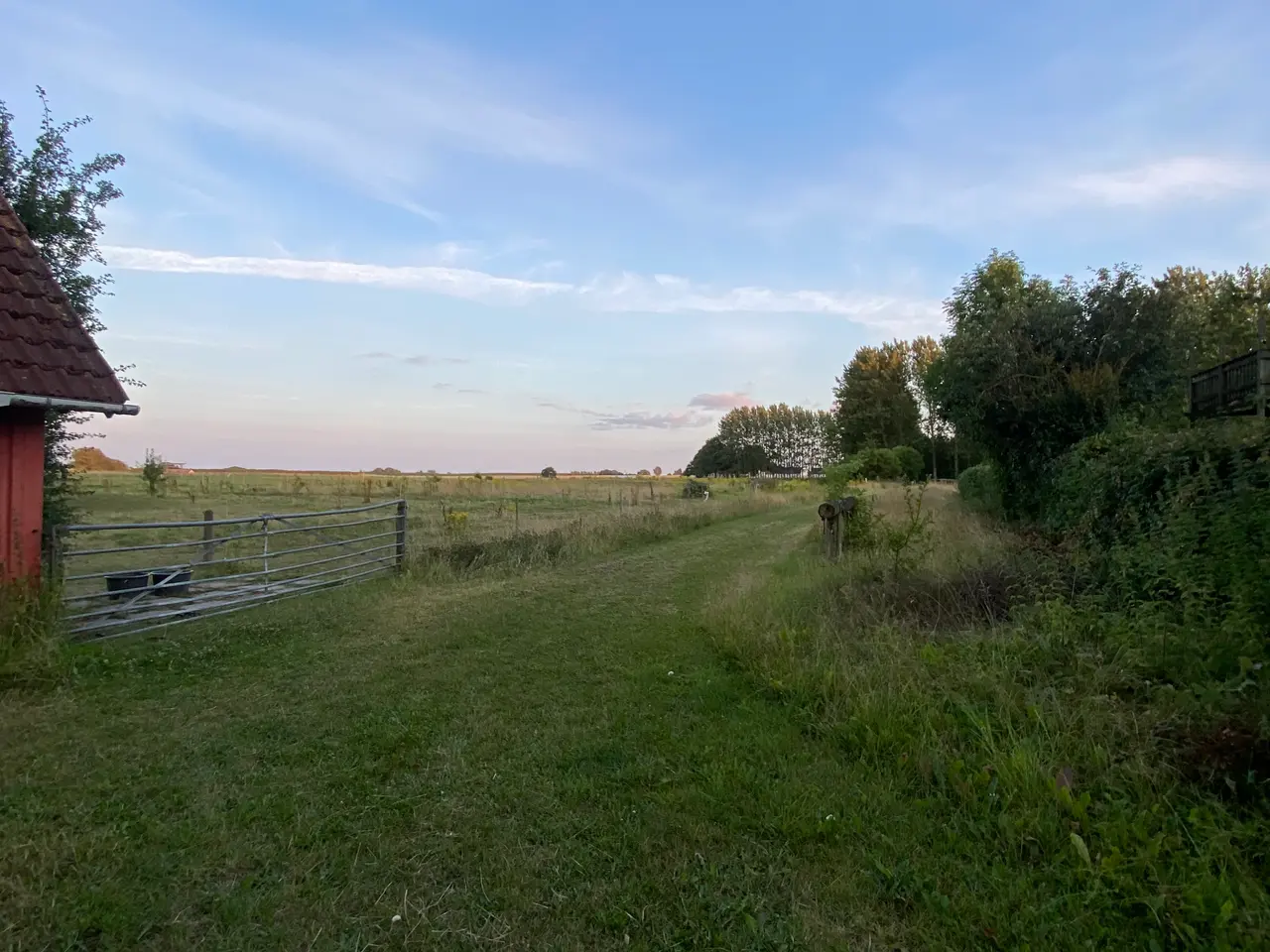 Billede 3 - Opstaldning tilbydes 4030 Tune