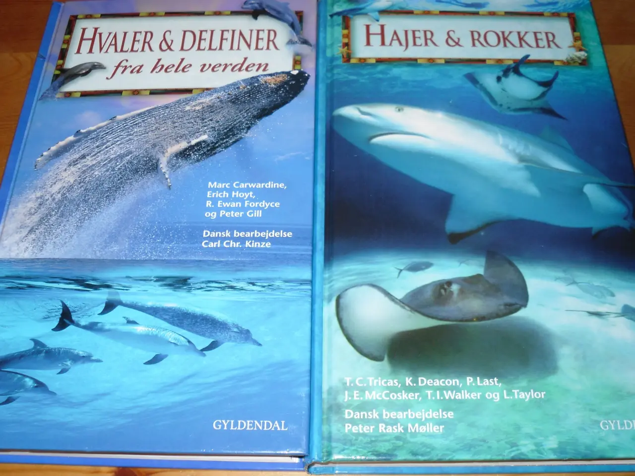 Billede 2 - HVALER & DELFINER. FRA HELE VERDEN.