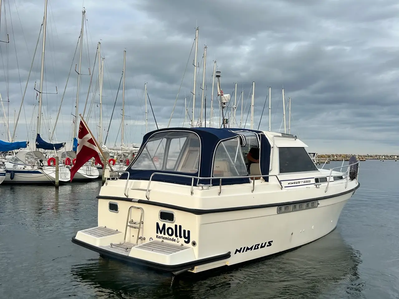 Billede 2 - Nimbus 3003