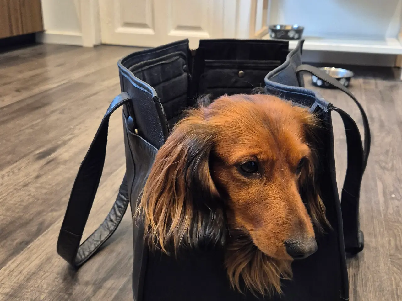 Billede 3 - Næsten ny Muud læderhundetaske