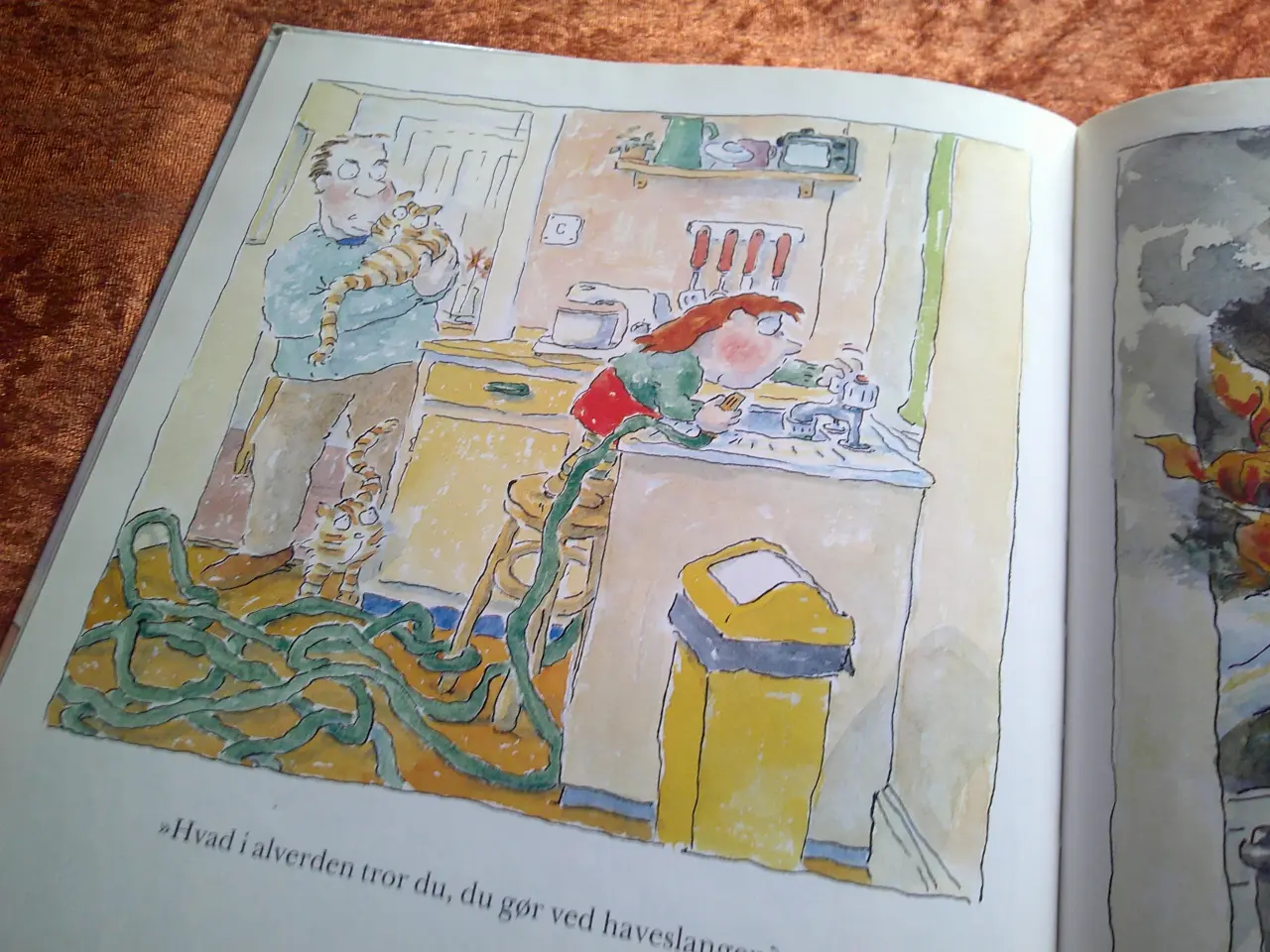 Billede 3 - Hvad i alverden ...?, Hazel Townson,