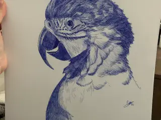 Ballpoint art piece