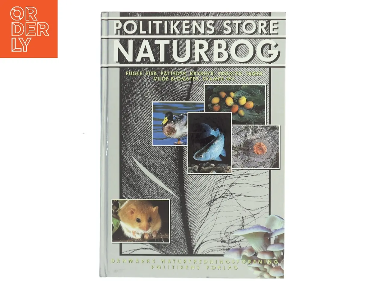 Billede 1 - Politikens store naturbog (Bog)