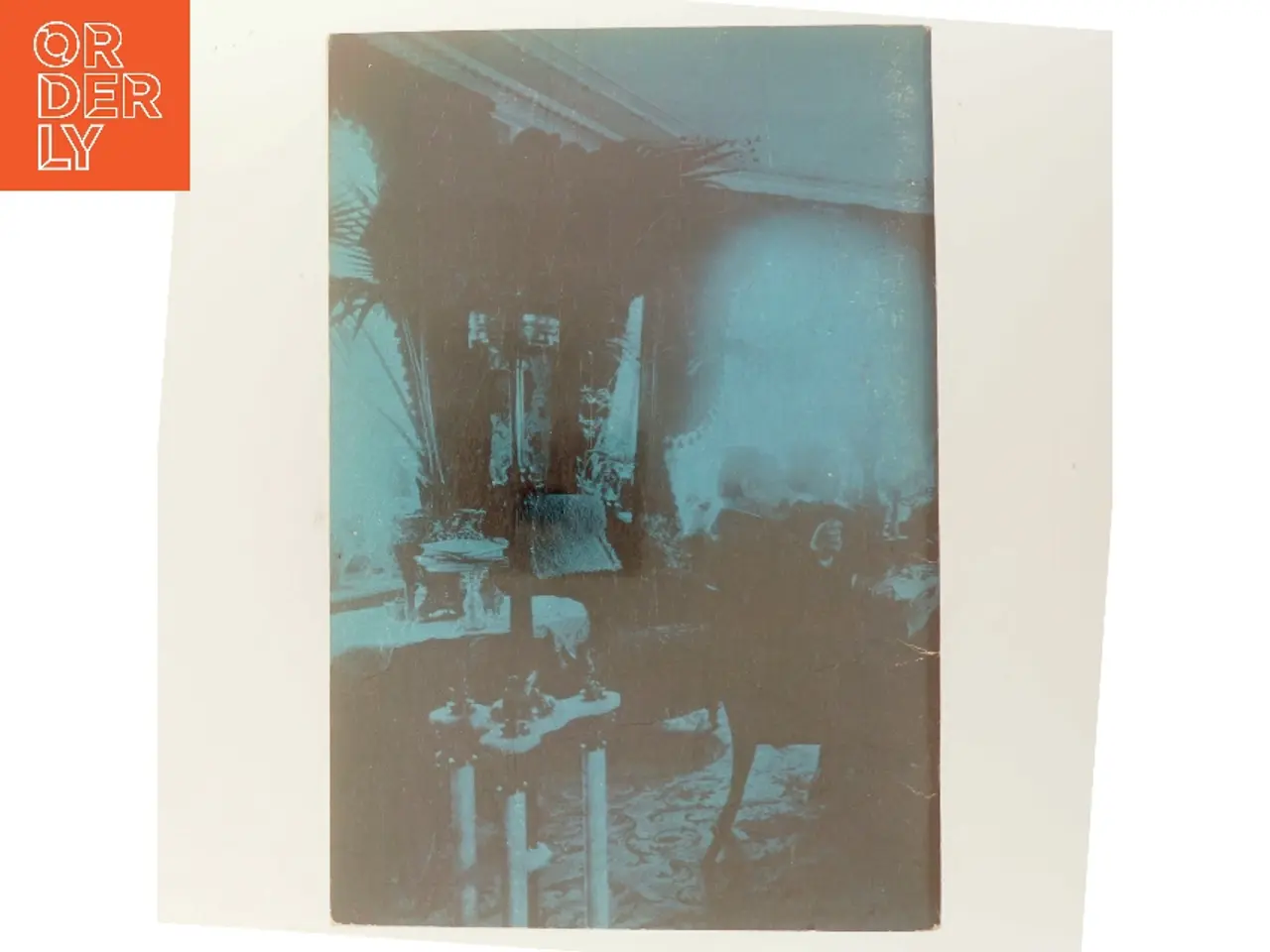 Billede 3 - Ung omkring 1900 af Lilli Friis (Bog)