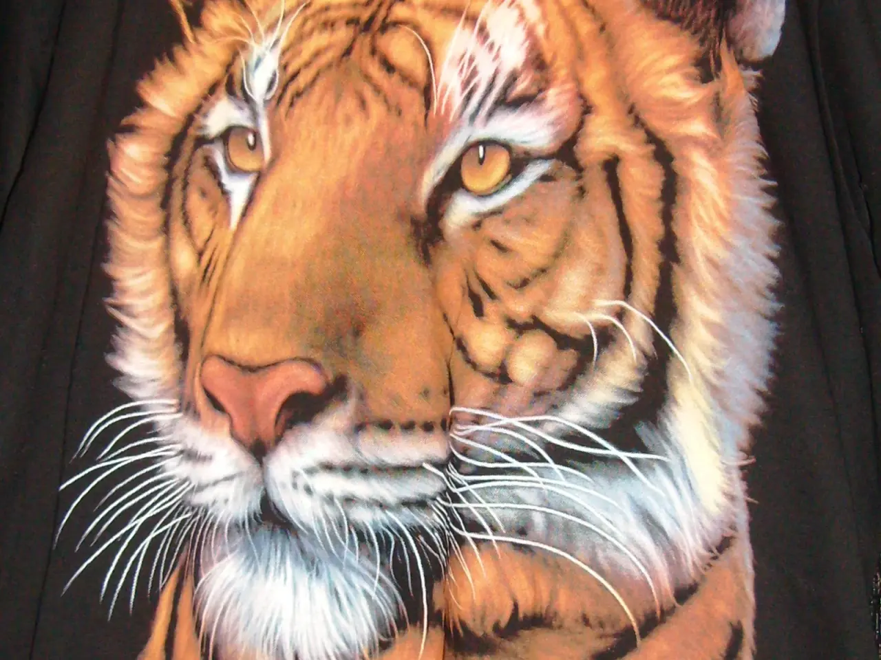 Billede 2 - P.K. Sports T-shirt med tiger