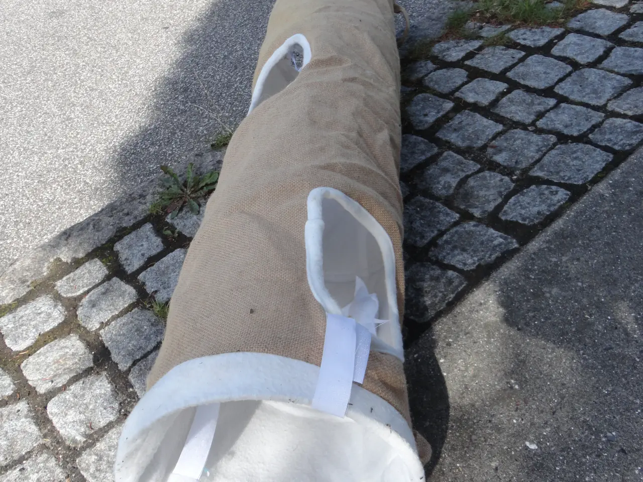 Billede 2 - Katte Tunnel :