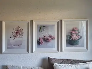 Trio billede serie